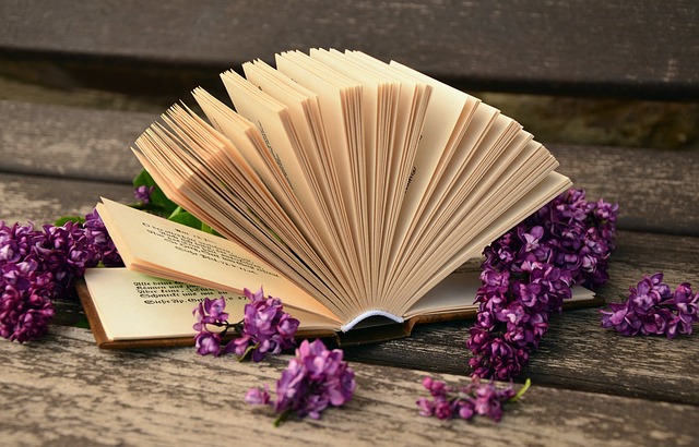 bookflowers - Understand <i>Ulysses</i>. (Or at least try.) [ATTDT]