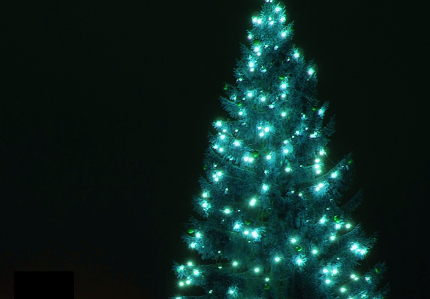 christmastreenight - See Trafalgar Square's tree light up. [ATTDT]