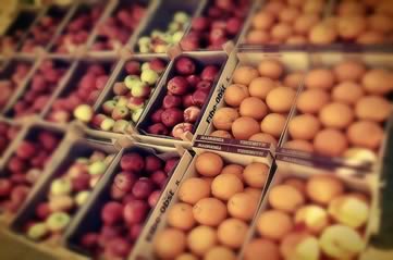fruitmarket - Pick up seasonal produce in Stratford. [ATTDT]