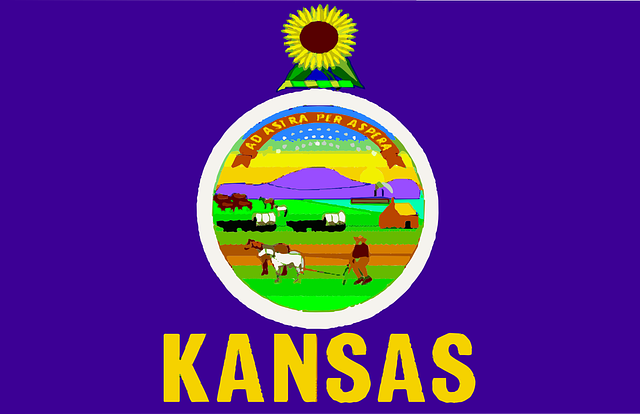 kansasflag - Celebrate the birth of the Sunflower State. [ATTDT]