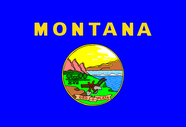 montanaflag - Celebrate the birth of the Treasure State. [ATTDT]