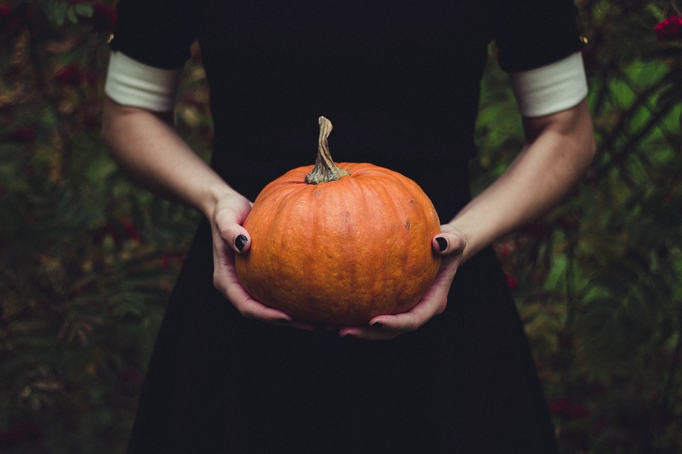 pumpkinholding - Scare yourself with your Halloween knowledge. [ATTDT]