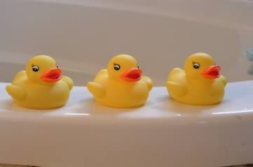rubberducks - Watch a duck regatta at Riverfest. [ATTDT]