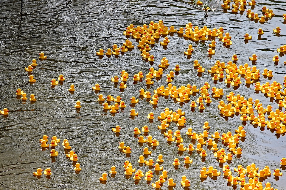 rubberducksriver - Cheer on curious ducks on the Wye. [ATTDT]