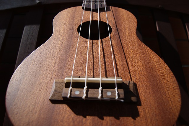 ukulele - Sing in a ukulele karaoke. [ATTDT]